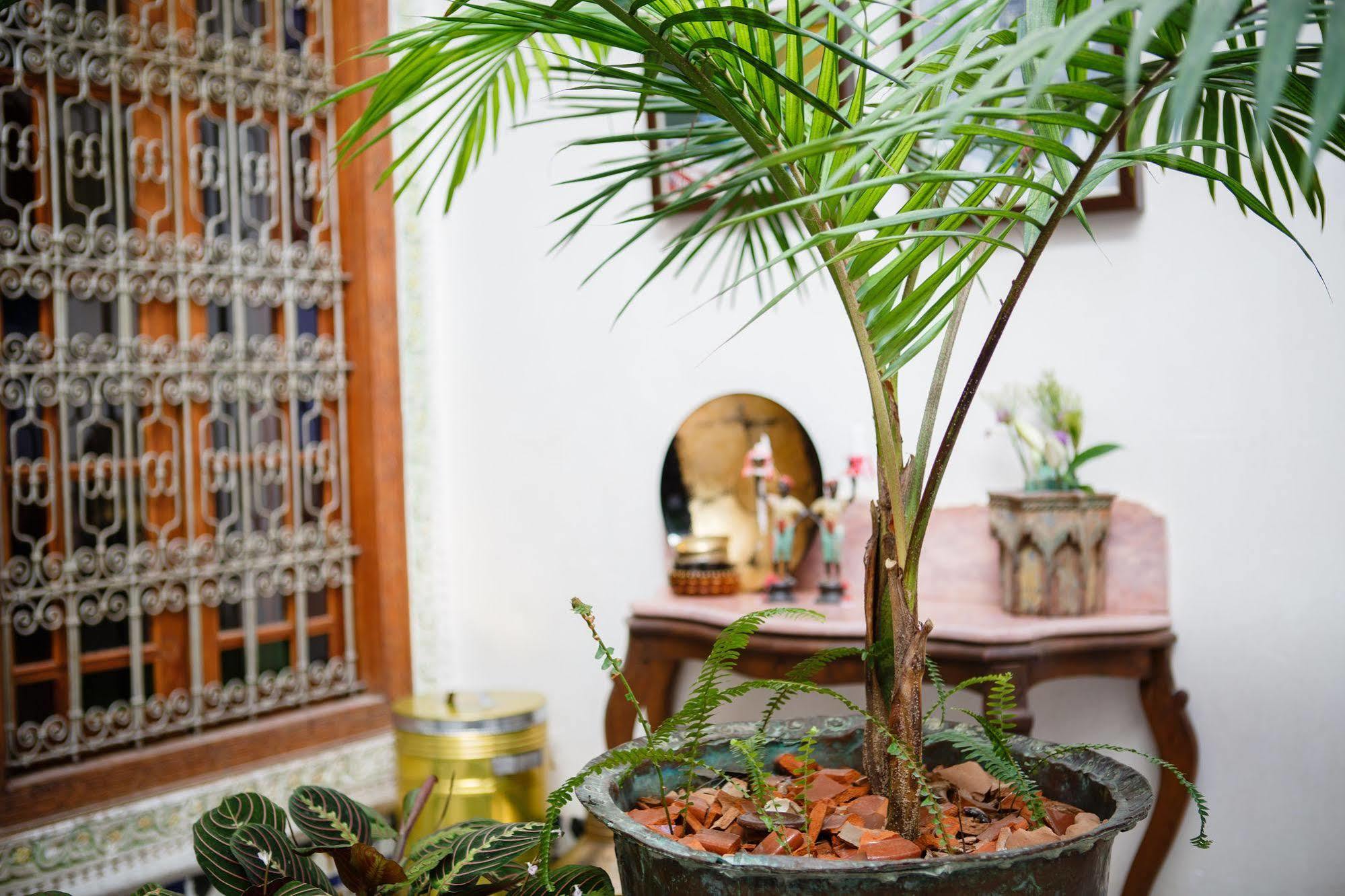 Riad Idrissy Фес Экстерьер фото